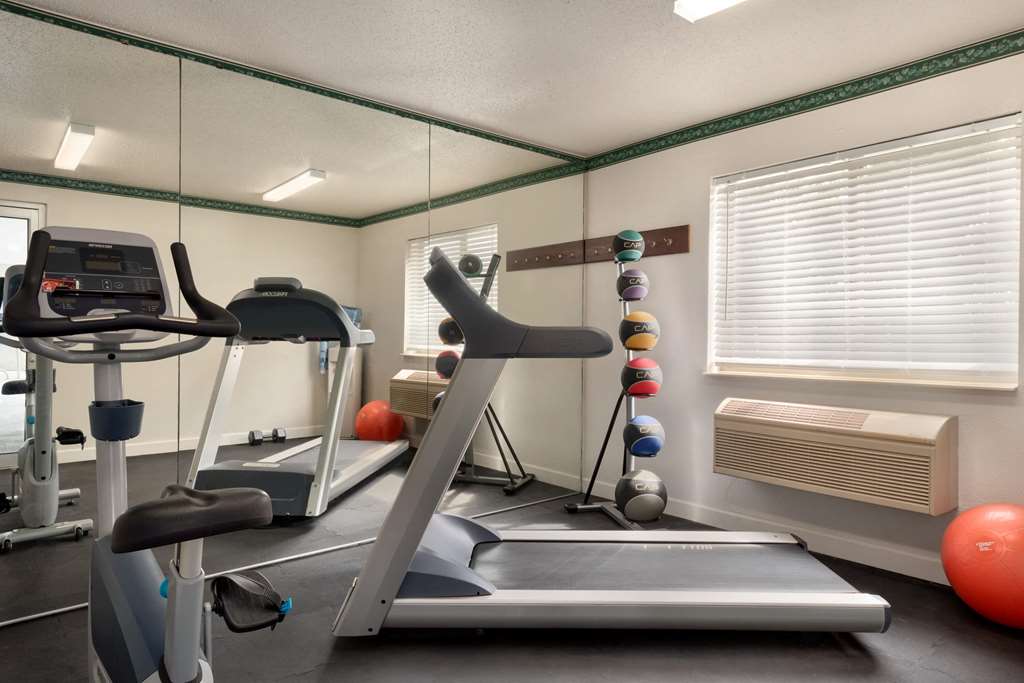 Baymont Inn & Suites by Wyndham Swanton Toledo Airport - photo 9