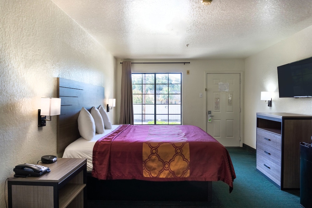OYO Inn & Suites Medical Center San Antonio - photo 14