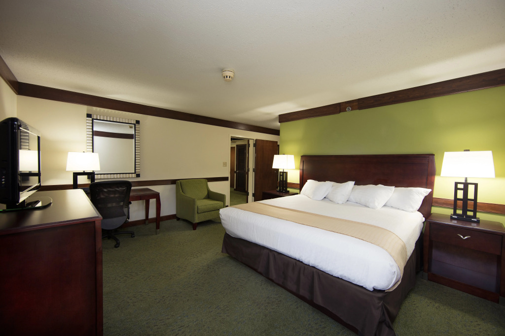 Holiday Inn Athens University Area - photo 13