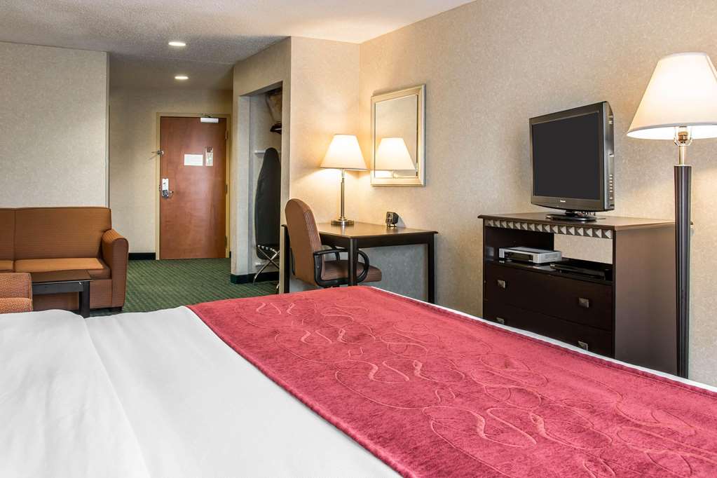 Comfort Suites Canton Detroit - photo 17