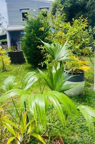 Karma oasis — Saint-Joseph — photo 4