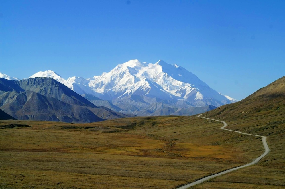 Denali Bluffs Hotel - photo 47
