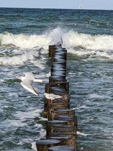 Dom Jan in Pobierowo, Poland