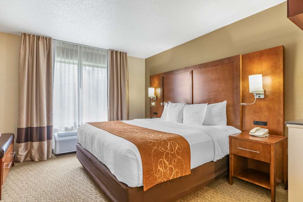 Comfort Suites Grand Rapids North - photo 15