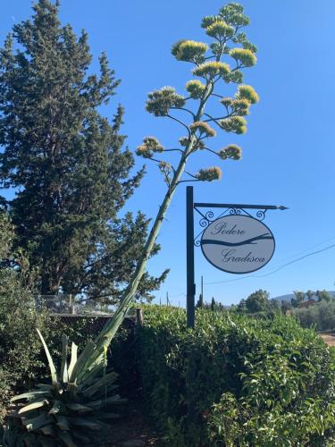 Podere Gradisca - carbon neutral hotel in Unknown City