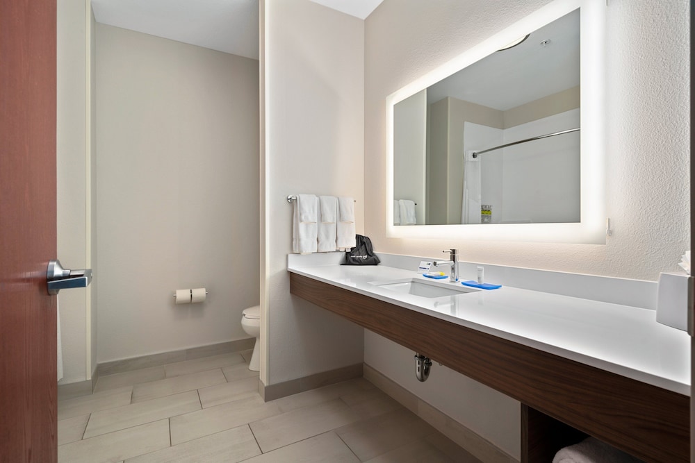 Holiday Inn Express Suites Van Buren Ft Smith Area by IHG - photo 46