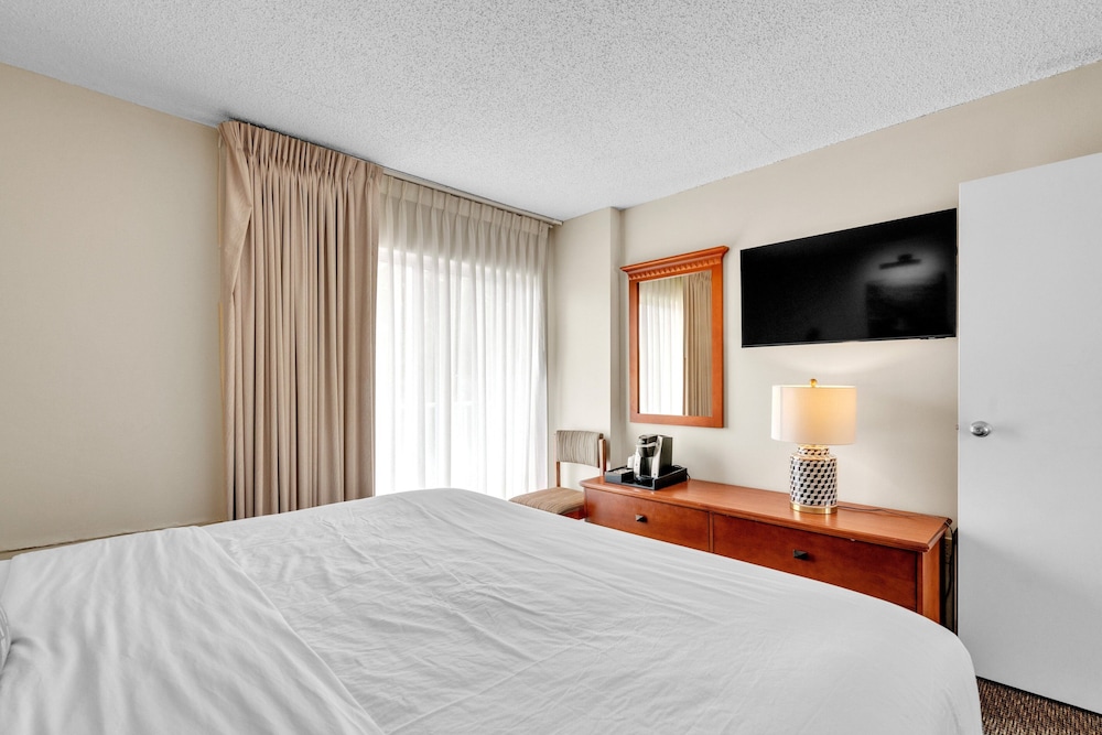 Cape Suites Motel - photo 26