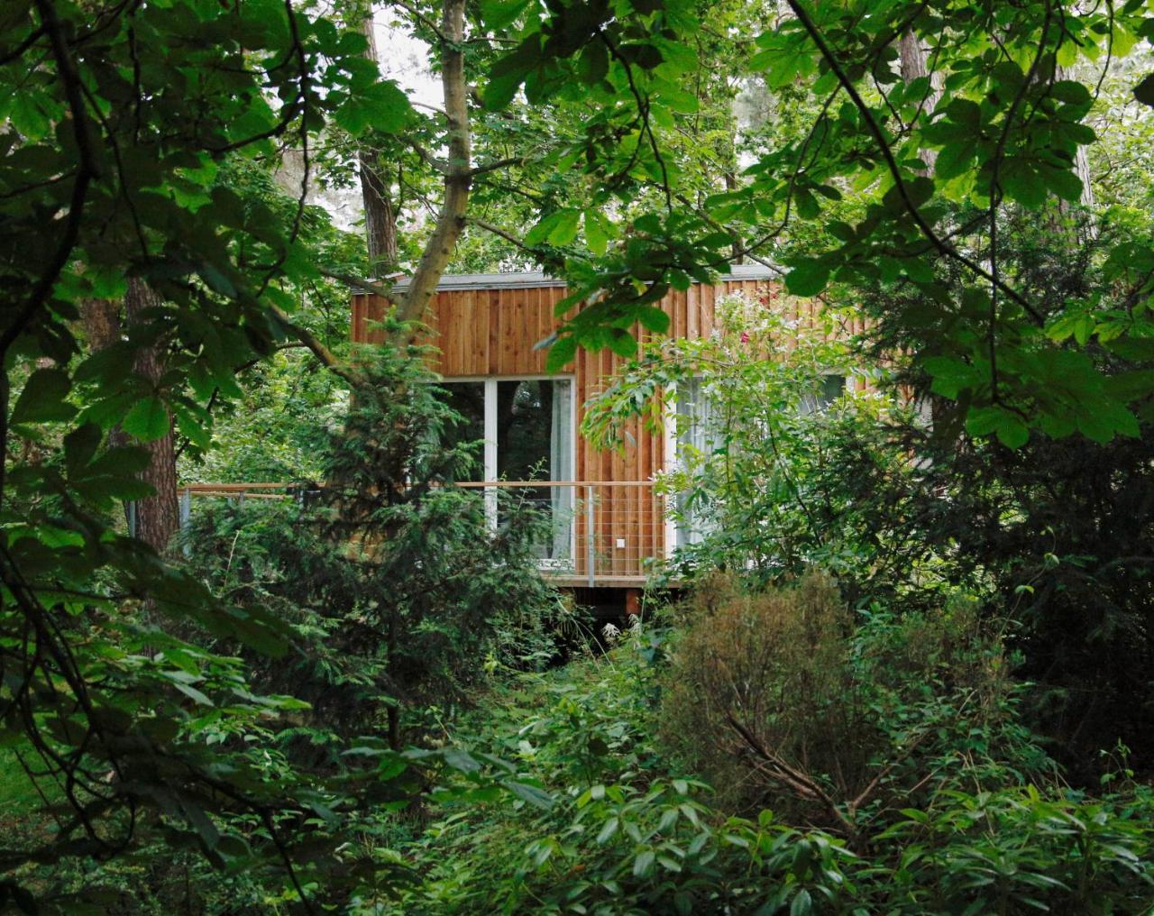 Waldhaus Am Meer — Lubmin — photo 4