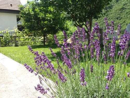 Kuća Lavanda — 4-Star Luxury Hotel in Mostar, Bosnia and Herzegovina