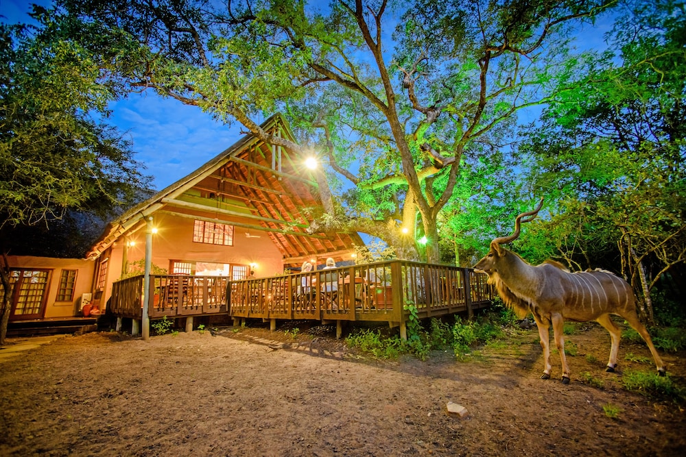 Needles Lodge — 4-Star Luxury Hotel in Nelspruit, South Africa