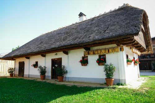 Hrgova hiška in Ptuj, Slovenia