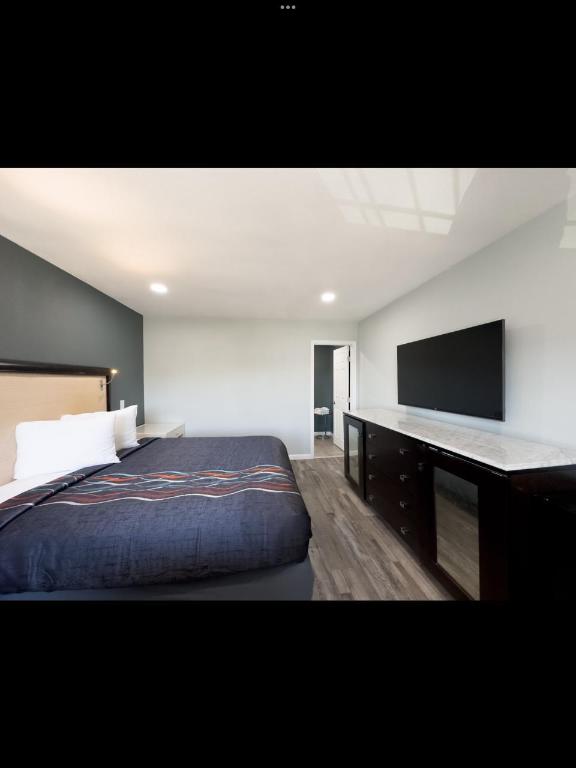 Courtesy Inn And Suites - photo 21