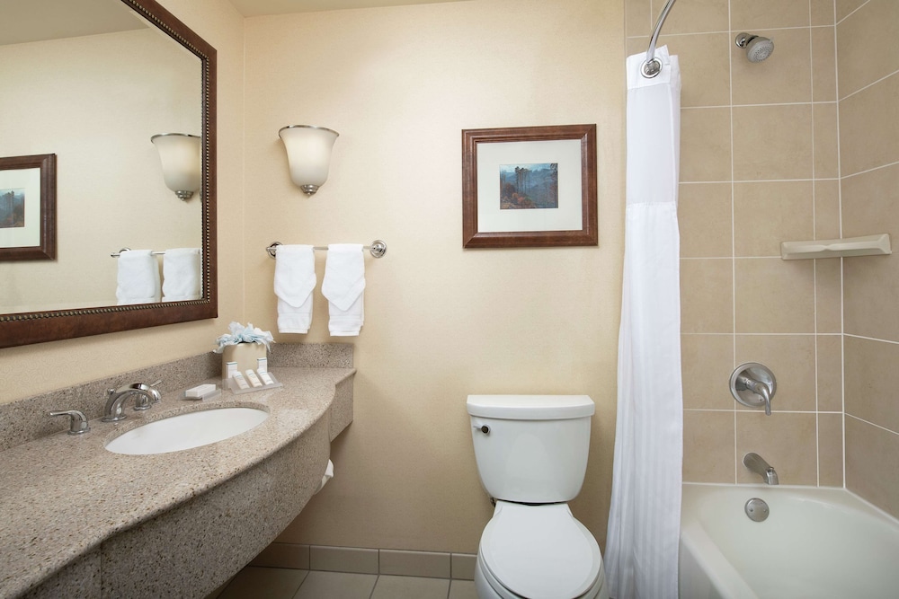 Hilton Garden Inn Yakima Downtown - photo 23