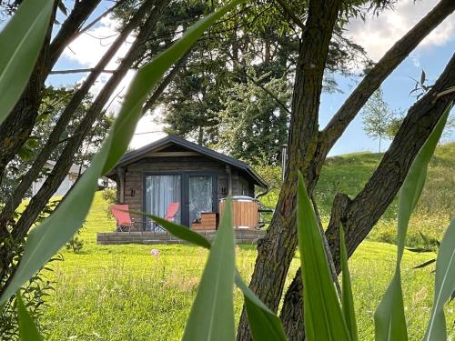 Szarejkowy Glamp - last minute hotel in Unknown City