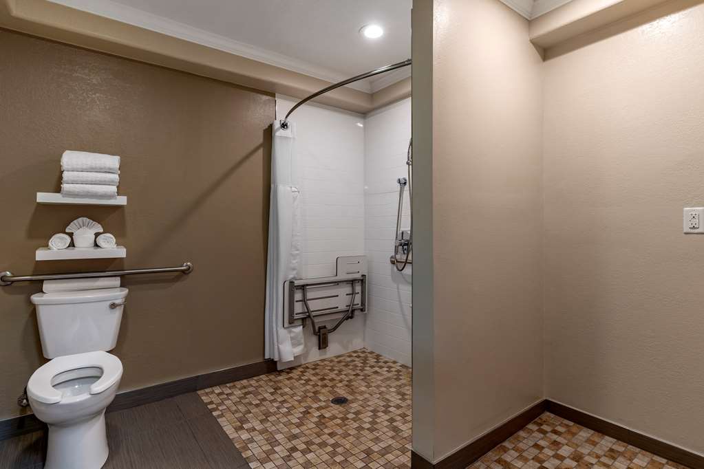 Best Western Silicon Valley Inn - photo 34