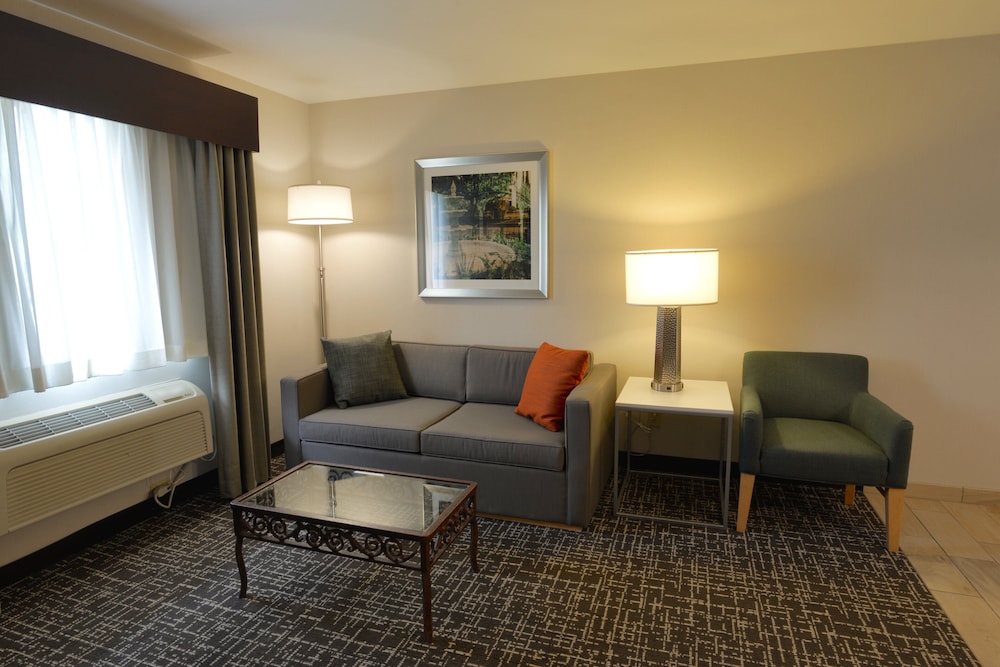 Holiday Inn Hotel & Suites Minneapolis Lakeville by IHG - photo 21