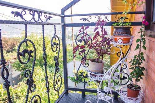 Apartament Sofia