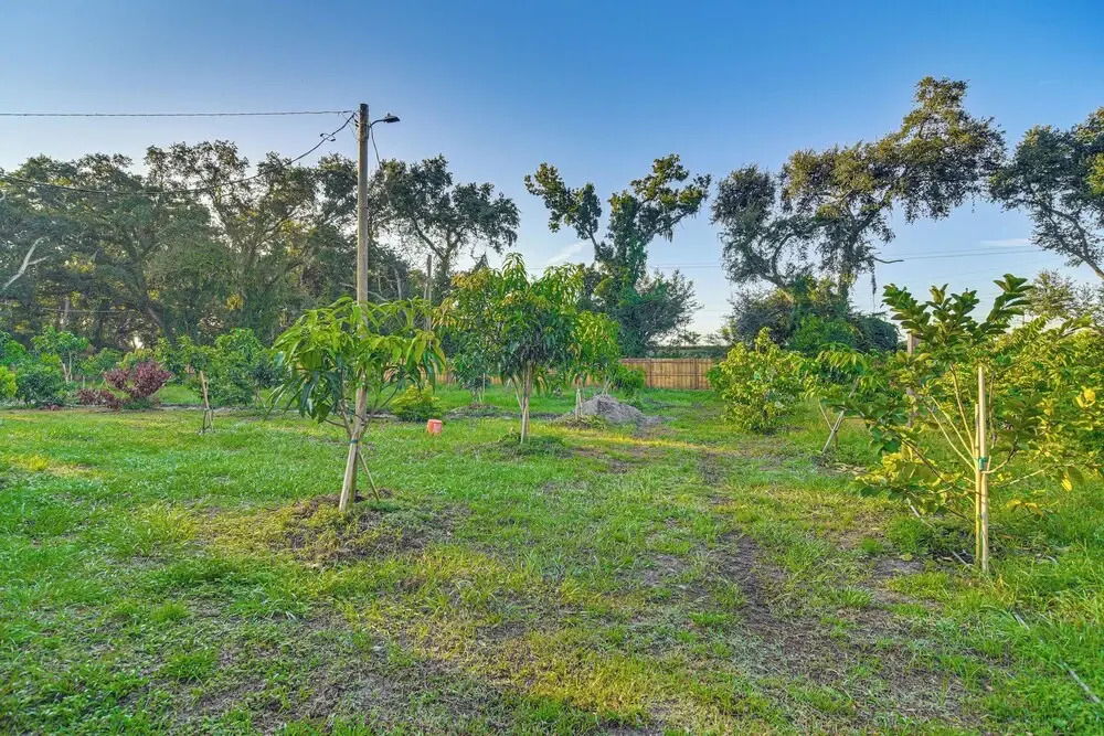 Tampa Vacation Rental Home Near Attractions - photo 2