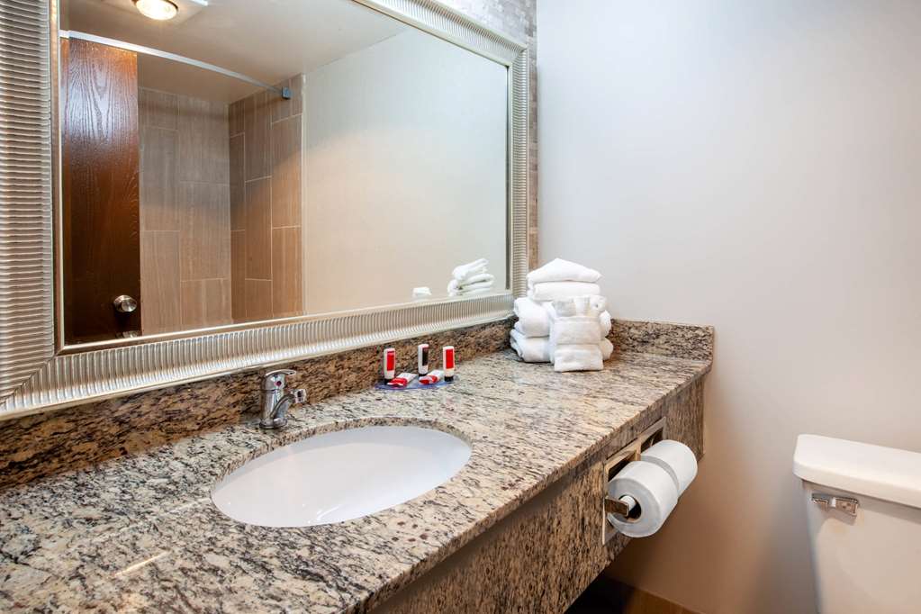 Wingate by Wyndham Detroit Metro Airport - photo 25