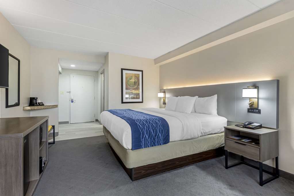 Comfort Inn Herndon Reston - photo 9