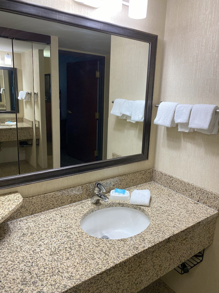 Hotel Indigo Detroit North Troy by IHG - photo 44