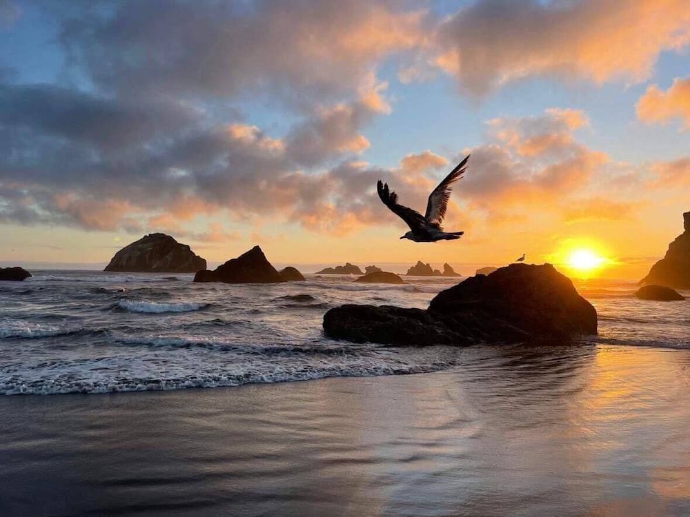 Sunset Oceanfront Lodging - featured photo