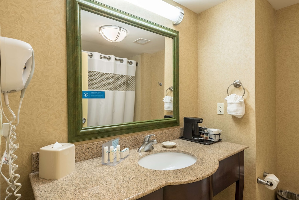 Hampton Inn & Suites Orlando South Lake Buena Vista - photo 28