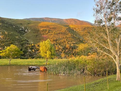 Frog Mountain Getaway in Swellendam, South Africa