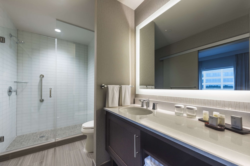 Embassy Suites by Hilton The Woodlands at Hughes Landing - photo 23