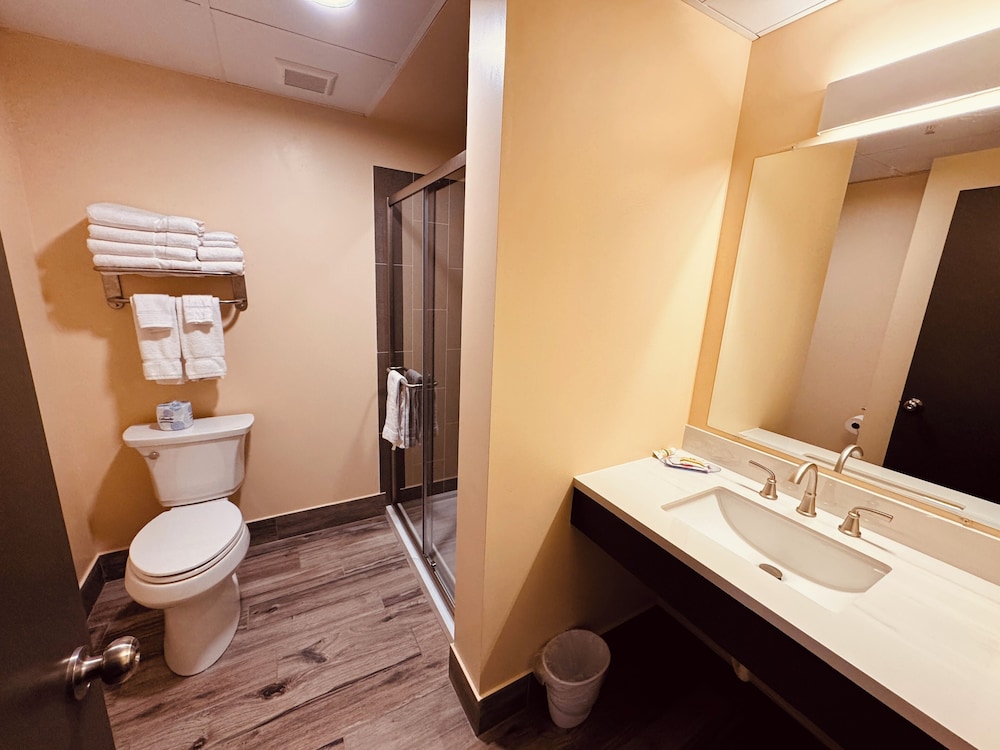 Hibbing Park Hotel & Suites - photo 10