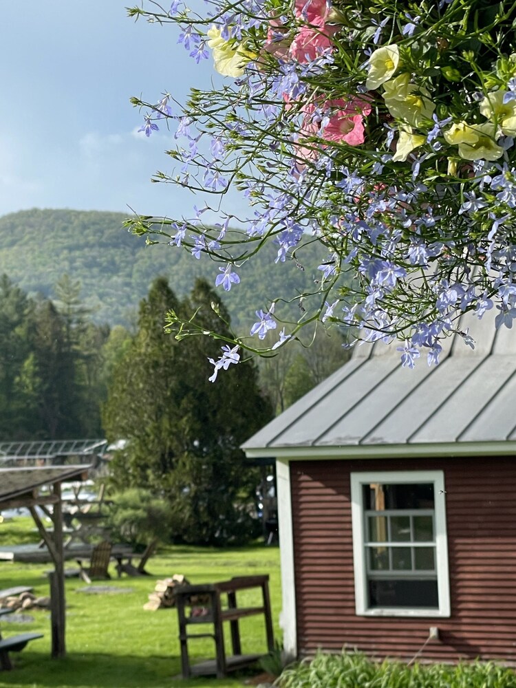 Lareau Farm Inn - photo 24
