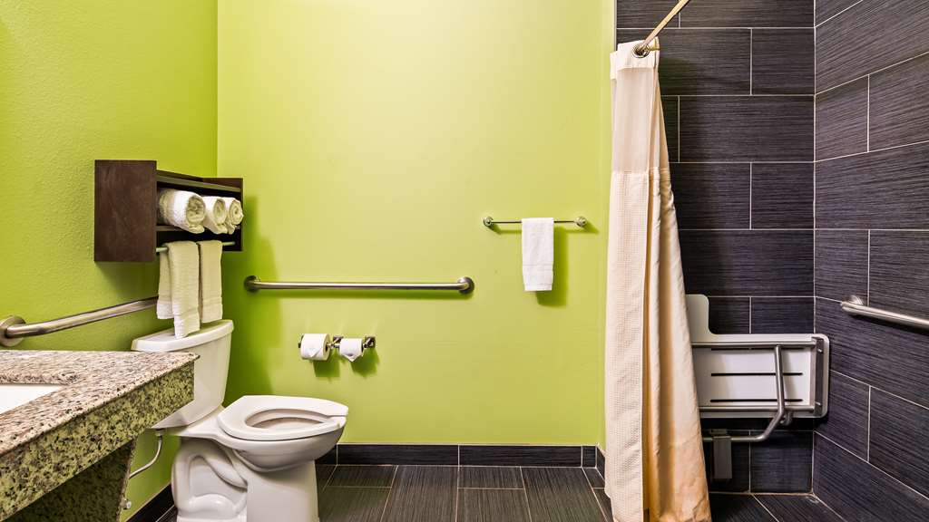 Best Western Plus Carrizo Springs Inn & Suites - photo 10