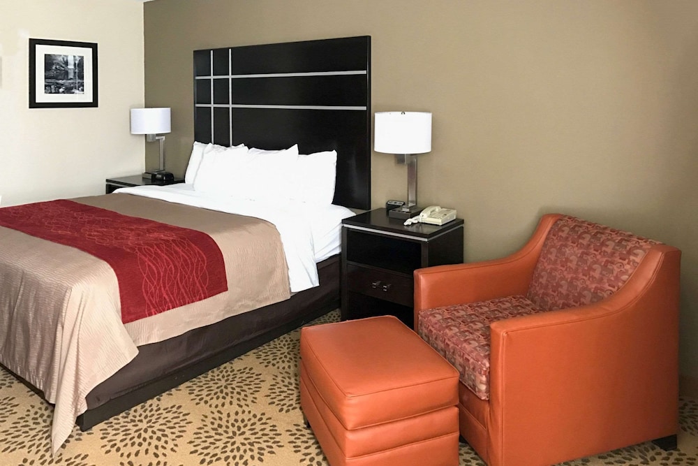 Comfort Inn North of Asheville - photo 20