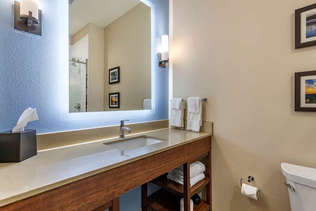 Comfort Suites Cedar Park Austin Northwest - photo 19