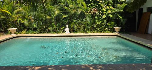 Blue Cat Merida - carbon neutral hotel in Merida
