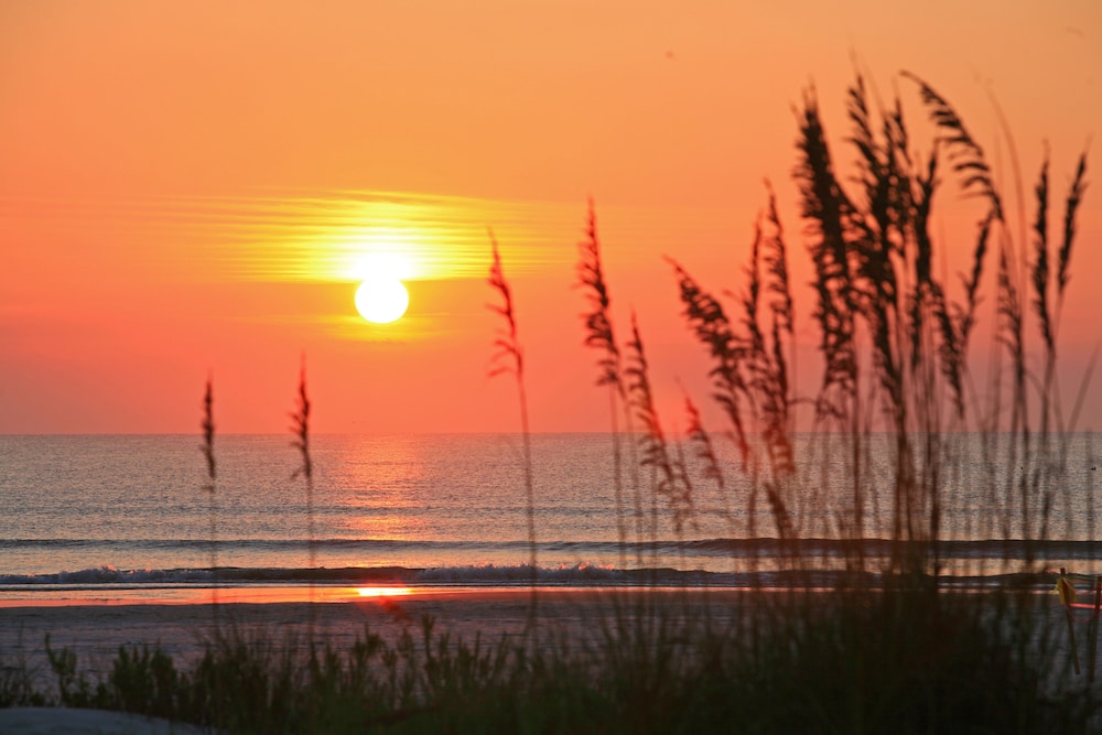 Guy Harvey Resort on St Augustine Beach - photo 79