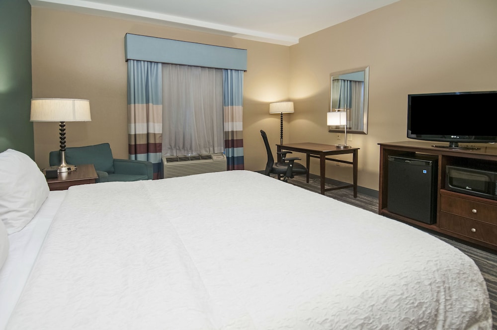 Hampton Inn & Suites Baton Rouge Port Allen - photo 9