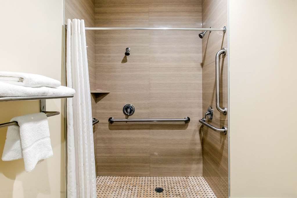 Econo Lodge Inn & Suites Houston Willowbrook - photo 28