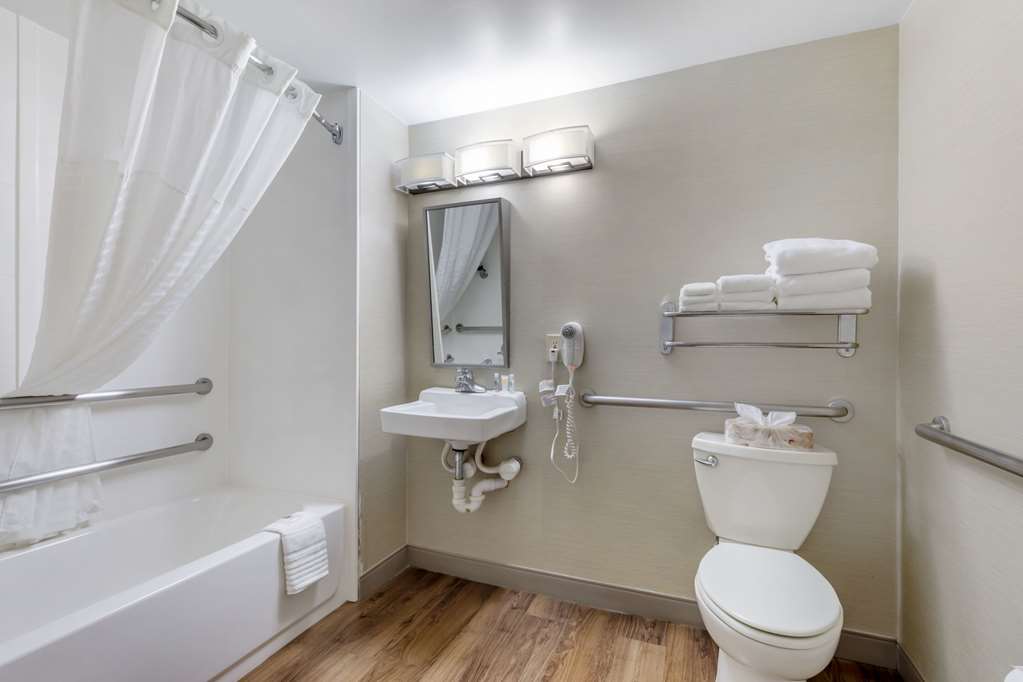 Comfort Inn Herndon Reston - photo 23