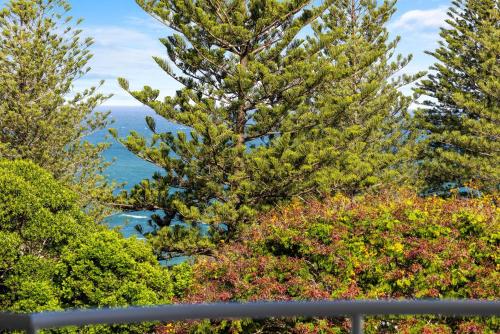 6 'Cote D'Azur' 6 Douglas Street Sunshine Beach — 4-Star Luxury Hotel in Sunshine Beach, Australia