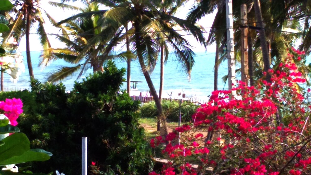 Sri Beach Bungalows And Villa — 4-Star Luxury Hotel in Negombo, Sri Lanka
