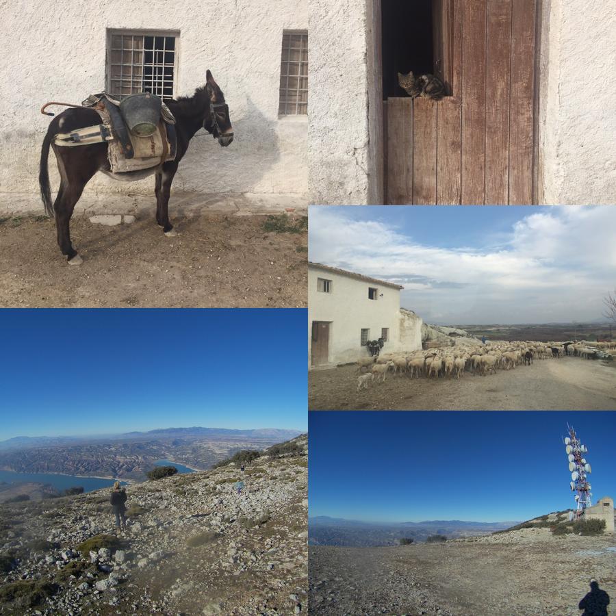 Calle Horno — Castril