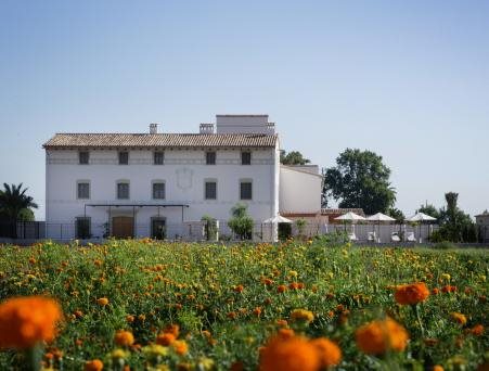 La Mozaira in Alboraya, Spain