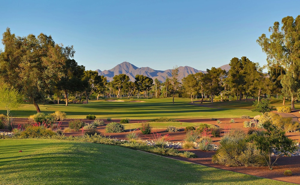 The Scottsdale Resort & Spa Curio Collection by Hilton - photo 46