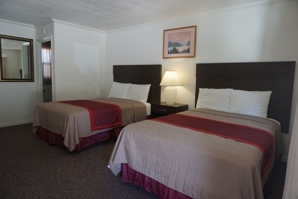 Blue Gum Motel - photo 17