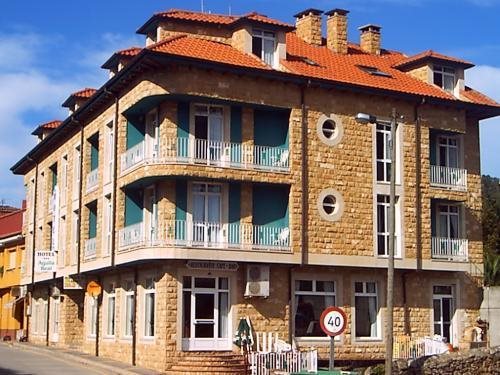 Hotel Águila Real — hotel in Cangas De Onis