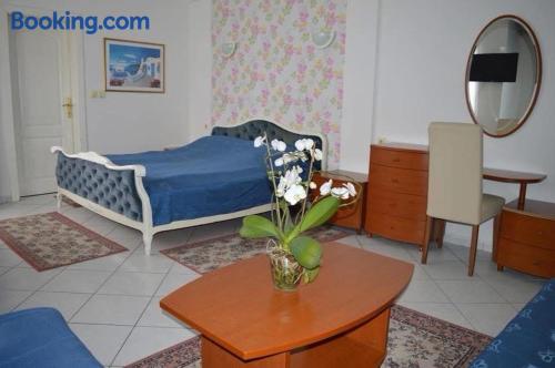 Vip Hotel — hotel in Skopje
