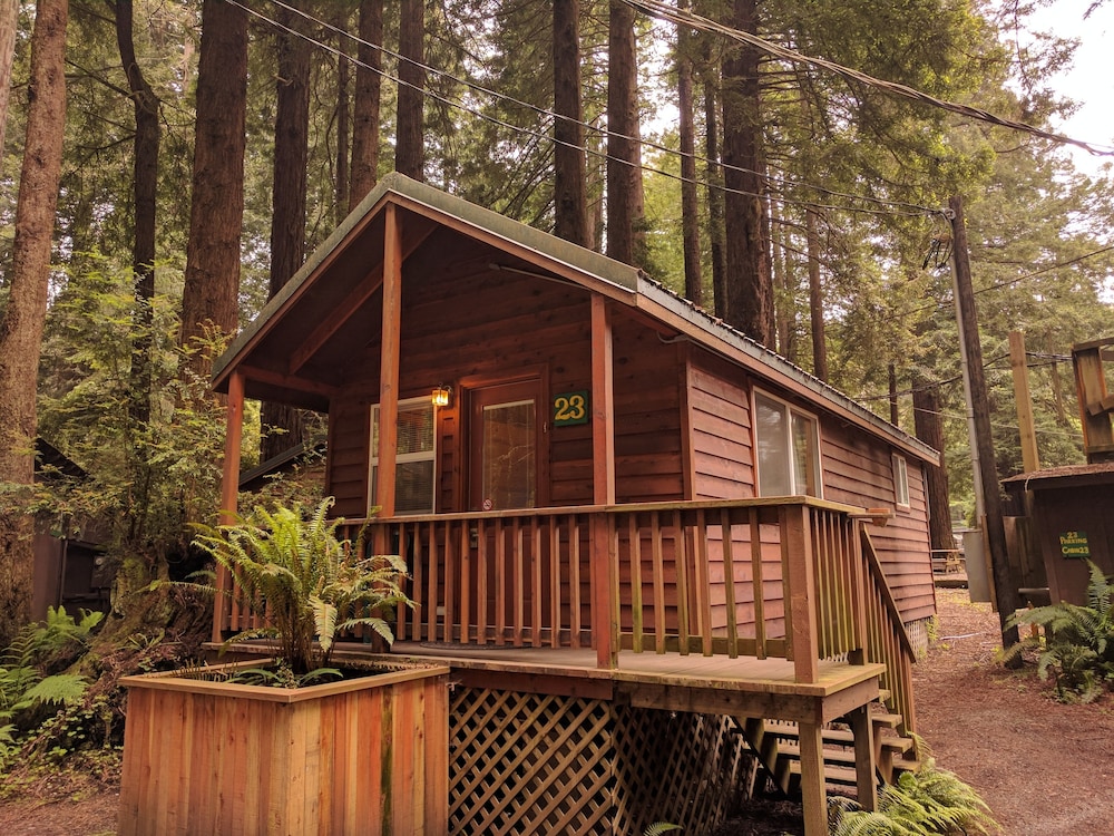 Emerald Forest Cabins - photo 159