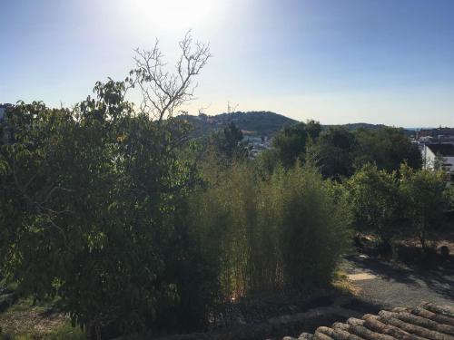 Finca Horno de Cal — Aracena — photo 5