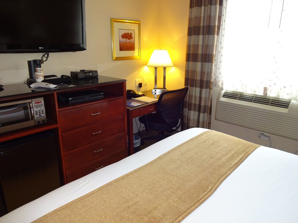 Best Western Plus Arena Hotel - photo 12